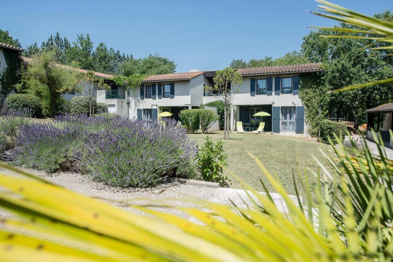 Domaine Lou Capitelle & Vogue